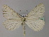  ( - BC ZSM Lep 22369)  @14 [ ] CreativeCommons - Attribution Non-Commercial Share-Alike (2010) Unspecified SNSB, Zoologische Staatssammlung Muenchen