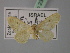  ( - BC ZSM Lep 23811)  @11 [ ] CreativeCommons - Attribution Non-Commercial Share-Alike (2010) Unspecified SNSB, Zoologische Staatssammlung Muenchen