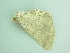  ( - BC ZSM Lep 90461)  @12 [ ] CreativeCommons - Attribution Non-Commercial Share-Alike (2016) Axel Hausmann/Bavarian State Collection of Zoology (ZSM) SNSB, Zoologische Staatssammlung Muenchen