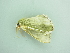  ( - BC ZSM Lep 90566)  @12 [ ] CreativeCommons - Attribution Non-Commercial Share-Alike (2016) Axel Hausmann/Bavarian State Collection of Zoology (ZSM) SNSB, Zoologische Staatssammlung Muenchen