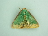  ( - BC ZSM Lep 90570)  @12 [ ] CreativeCommons - Attribution Non-Commercial Share-Alike (2016) Axel Hausmann/Bavarian State Collection of Zoology (ZSM) SNSB, Zoologische Staatssammlung Muenchen