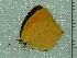  ( - BC ZSM Lep 93790)  @12 [ ] CreativeCommons - Attribution Non-Commercial Share-Alike (2016) SNSB, Staatliche Naturwissenschaftliche Sammlungen Bayerns ZSM (SNSB, Zoologische Staatssammlung Muenchen)