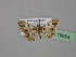  ( - BC ZSM Lep 19654)  @13 [ ] CreativeCommons - Attribution Non-Commercial Share-Alike (2010) Unspecified SNSB, Zoologische Staatssammlung Muenchen
