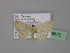  ( - BC ZSM Lep 19672)  @12 [ ] CreativeCommons - Attribution Non-Commercial Share-Alike (2010) Unspecified SNSB, Zoologische Staatssammlung Muenchen