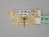  ( - BC ZSM Lep 19710)  @14 [ ] CreativeCommons - Attribution Non-Commercial Share-Alike (2010) Unspecified SNSB, Zoologische Staatssammlung Muenchen