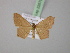  ( - BC ZSM Lep 22678)  @13 [ ] CreativeCommons - Attribution Non-Commercial Share-Alike (2010) Unspecified SNSB, Zoologische Staatssammlung Muenchen