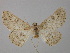  ( - BC ZSM Lep 24318)  @13 [ ] CreativeCommons - Attribution Non-Commercial Share-Alike (2010) Unspecified SNSB, Zoologische Staatssammlung Muenchen