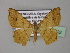  ( - BC ZSM Lep 24402)  @12 [ ] CreativeCommons - Attribution Non-Commercial Share-Alike (2010) Unspecified SNSB, Zoologische Staatssammlung Muenchen
