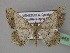  (Macaria AH13Ve - BC ZSM Lep 24455)  @14 [ ] CreativeCommons - Attribution Non-Commercial Share-Alike (2010) Unspecified SNSB, Zoologische Staatssammlung Muenchen