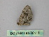  (Xanthorhoe AH02Et - BC ZSM Lep 26111)  @12 [ ] CreativeCommons - Attribution Non-Commercial Share-Alike (2010) Unspecified SNSB, Zoologische Staatssammlung Muenchen