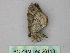  (Xanthorhoe AH04Et - BC ZSM Lep 26113)  @12 [ ] CreativeCommons - Attribution Non-Commercial Share-Alike (2010) Unspecified SNSB, Zoologische Staatssammlung Muenchen