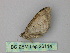  (Xanthorhoe AH05Et - BC ZSM Lep 26114)  @12 [ ] CreativeCommons - Attribution Non-Commercial Share-Alike (2010) Unspecified SNSB, Zoologische Staatssammlung Muenchen