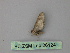  (Eupithecia AH09Et - BC ZSM Lep 26124)  @12 [ ] CreativeCommons - Attribution Non-Commercial Share-Alike (2010) Unspecified SNSB, Zoologische Staatssammlung Muenchen