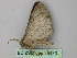  ( - BC ZSM Lep 26133)  @12 [ ] CreativeCommons - Attribution Non-Commercial Share-Alike (2010) Unspecified SNSB, Zoologische Staatssammlung Muenchen