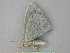  ( - BC ZSM Lep 26135)  @13 [ ] CreativeCommons - Attribution Non-Commercial Share-Alike (2010) Unspecified SNSB, Zoologische Staatssammlung Muenchen