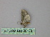  ( - BC ZSM Lep 26138)  @12 [ ] CreativeCommons - Attribution Non-Commercial Share-Alike (2010) Unspecified SNSB, Zoologische Staatssammlung Muenchen