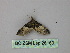  ( - BC ZSM Lep 26160)  @12 [ ] CreativeCommons - Attribution Non-Commercial Share-Alike (2010) Unspecified SNSB, Zoologische Staatssammlung Muenchen