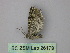  ( - BC ZSM Lep 26179)  @13 [ ] CreativeCommons - Attribution Non-Commercial Share-Alike (2010) Unspecified SNSB, Zoologische Staatssammlung Muenchen
