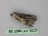  ( - BC ZSM Lep 18237)  @12 [ ] CreativeCommons - Attribution Non-Commercial Share-Alike (2010) Unspecified SNSB, Zoologische Staatssammlung Muenchen