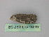  ( - BC ZSM Lep 18239)  @12 [ ] CreativeCommons - Attribution Non-Commercial Share-Alike (2010) Unspecified SNSB, Zoologische Staatssammlung Muenchen