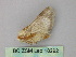  ( - BC ZSM Lep 18292)  @13 [ ] CreativeCommons - Attribution Non-Commercial Share-Alike (2010) Unspecified SNSB, Zoologische Staatssammlung Muenchen