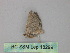  ( - BC ZSM Lep 18299)  @12 [ ] CreativeCommons - Attribution Non-Commercial Share-Alike (2010) Unspecified SNSB, Zoologische Staatssammlung Muenchen