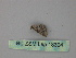  ( - BC ZSM Lep 18304)  @12 [ ] CreativeCommons - Attribution Non-Commercial Share-Alike (2010) Unspecified SNSB, Zoologische Staatssammlung Muenchen