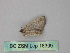  ( - BC ZSM Lep 18309)  @12 [ ] CreativeCommons - Attribution Non-Commercial Share-Alike (2010) Unspecified SNSB, Zoologische Staatssammlung Muenchen