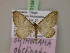  ( - BC ZSM Lep 20108)  @14 [ ] CreativeCommons - Attribution Non-Commercial Share-Alike (2010) Unspecified SNSB, Zoologische Staatssammlung Muenchen