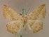  ( - BC ZSM Lep 20159)  @14 [ ] CreativeCommons - Attribution Non-Commercial Share-Alike (2010) Unspecified SNSB, Zoologische Staatssammlung Muenchen