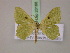  ( - BC ZSM Lep 20188)  @14 [ ] CreativeCommons - Attribution Non-Commercial Share-Alike (2010) Unspecified SNSB, Zoologische Staatssammlung Muenchen