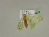  ( - BC ZSM Lep 20258)  @12 [ ] CreativeCommons - Attribution Non-Commercial Share-Alike (2010) Unspecified SNSB, Zoologische Staatssammlung Muenchen
