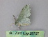  (Dyspteris AH01Pe - BC ZSM Lep 25797)  @13 [ ] CreativeCommons - Attribution Non-Commercial Share-Alike (2010) Unspecified SNSB, Zoologische Staatssammlung Muenchen