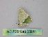  ( - BC ZSM Lep 25811)  @13 [ ] CreativeCommons - Attribution Non-Commercial Share-Alike (2010) Unspecified SNSB, Zoologische Staatssammlung Muenchen