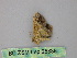  (Macaria AH16Pe - BC ZSM Lep 25838)  @12 [ ] CreativeCommons - Attribution Non-Commercial Share-Alike (2010) Unspecified SNSB, Zoologische Staatssammlung Muenchen