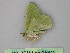  ( - BC ZSM Lep 25842)  @12 [ ] CreativeCommons - Attribution Non-Commercial Share-Alike (2010) Unspecified SNSB, Zoologische Staatssammlung Muenchen