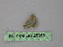  ( - BC ZSM Lep 25856)  @12 [ ] CreativeCommons - Attribution Non-Commercial Share-Alike (2010) Unspecified SNSB, Zoologische Staatssammlung Muenchen