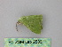  ( - BC ZSM Lep 25861)  @12 [ ] CreativeCommons - Attribution Non-Commercial Share-Alike (2010) Unspecified SNSB, Zoologische Staatssammlung Muenchen