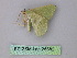  ( - BC ZSM Lep 25882)  @12 [ ] CreativeCommons - Attribution Non-Commercial Share-Alike (2010) Unspecified SNSB, Zoologische Staatssammlung Muenchen