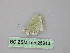  ( - BC ZSM Lep 25913)  @12 [ ] CreativeCommons - Attribution Non-Commercial Share-Alike (2010) Unspecified SNSB, Zoologische Staatssammlung Muenchen