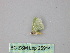  ( - BC ZSM Lep 25914)  @12 [ ] CreativeCommons - Attribution Non-Commercial Share-Alike (2010) Unspecified SNSB, Zoologische Staatssammlung Muenchen