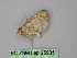  ( - BC ZSM Lep 25935)  @12 [ ] CreativeCommons - Attribution Non-Commercial Share-Alike (2010) Unspecified SNSB, Zoologische Staatssammlung Muenchen