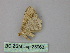  ( - BC ZSM Lep 25963)  @12 [ ] CreativeCommons - Attribution Non-Commercial Share-Alike (2010) Unspecified SNSB, Zoologische Staatssammlung Muenchen