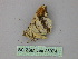  ( - BC ZSM Lep 25974)  @12 [ ] CreativeCommons - Attribution Non-Commercial Share-Alike (2010) Unspecified SNSB, Zoologische Staatssammlung Muenchen
