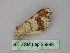  ( - BC ZSM Lep 25983)  @12 [ ] CreativeCommons - Attribution Non-Commercial Share-Alike (2010) Unspecified SNSB, Zoologische Staatssammlung Muenchen