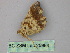  ( - BC ZSM Lep 25984)  @13 [ ] CreativeCommons - Attribution Non-Commercial Share-Alike (2010) Unspecified SNSB, Zoologische Staatssammlung Muenchen