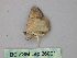  (Mimomma AH03Pe - BC ZSM Lep 26001)  @12 [ ] CreativeCommons - Attribution Non-Commercial Share-Alike (2010) Unspecified SNSB, Zoologische Staatssammlung Muenchen