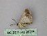  ( - BC ZSM Lep 26016)  @13 [ ] CreativeCommons - Attribution Non-Commercial Share-Alike (2010) Unspecified SNSB, Zoologische Staatssammlung Muenchen