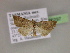  ( - BC ZSM Lep 06297)  @12 [ ] CreativeCommons - Attribution Non-Commercial Share-Alike (2010) Unspecified SNSB, Zoologische Staatssammlung Muenchen