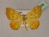  ( - BC ZSM Lep 19460)  @13 [ ] CreativeCommons - Attribution Non-Commercial Share-Alike (2010) Unspecified SNSB, Zoologische Staatssammlung Muenchen